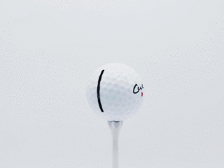 Cut Golf